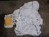 LAND ROVER RANGE ROVER SPORT L494      LR085979 2020. .1065519   