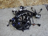 EXEED VX     806002107AA 2023. .1129567   