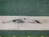 MERCEDES GLC  корпус рулевой рейки A2534604701 2022г. арт.1141368   Уценка