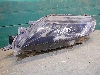MITSUBISHI L200    8301D373
 2022. .1170852 