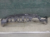 KIA RIO X-Line     86650H0510 2020. .1176008