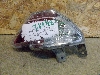 TOYOTA RAV4      8145742060 2019. .1184672   