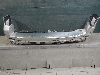 TANK 500     2804101XKV3AA 2023. .1209876   
