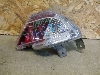TOYOTA RAV4      8145742060 2019. .1255054   
