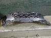OMODA C5     602002720AAAGV 2023. .1271509