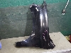TOYOTA LAND CRUISER 200     5380260D60 2016. .1377050
