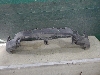 HYUNDAI CRETA     86612M0000 2021. .1405843