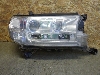 TOYOTA LAND CRUISER    8110560K12 2017. .1449537 LED