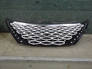 OMODA C5 решетка облицовки радиатора 602002720AAABW 2024г. арт.1466828
