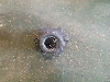 CADILLAC ESCALADE    84834198 2021. .941937   