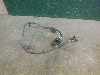 KIA OPTIMA    99250D4000 2019. .966087   